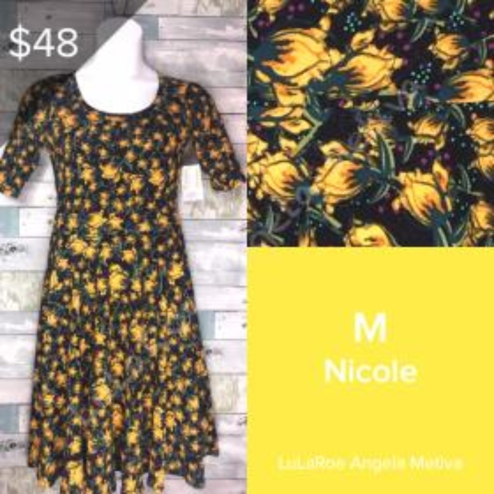 NWT LuLaRoe Nicole Dress